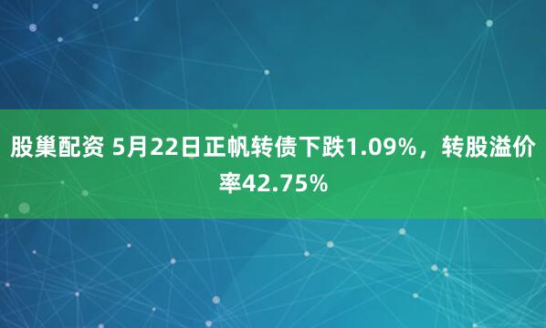 股巢配资 5月22日正帆转债下跌1.09%，转股溢价率42.75%