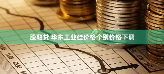 股融贷 华东工业硅价格个别价格下调